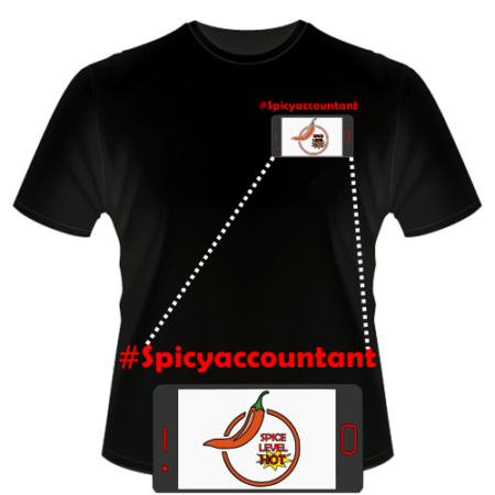 T-Shirt - Spicy Accountant